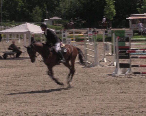 Reitturnier Lgl.-Oberhain, B95 2022