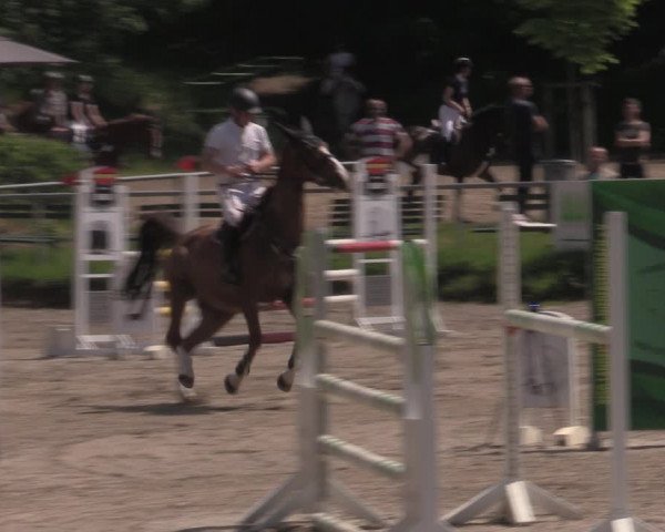 Reitturnier Lgl.-Oberhain, B95 2022