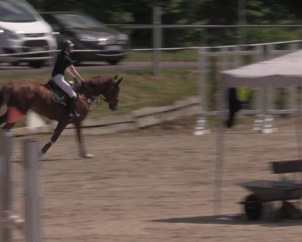 Reitturnier Lgl.-Oberhain, B95 2022