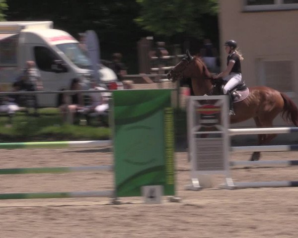 Reitturnier Lgl.-Oberhain, B95 2022