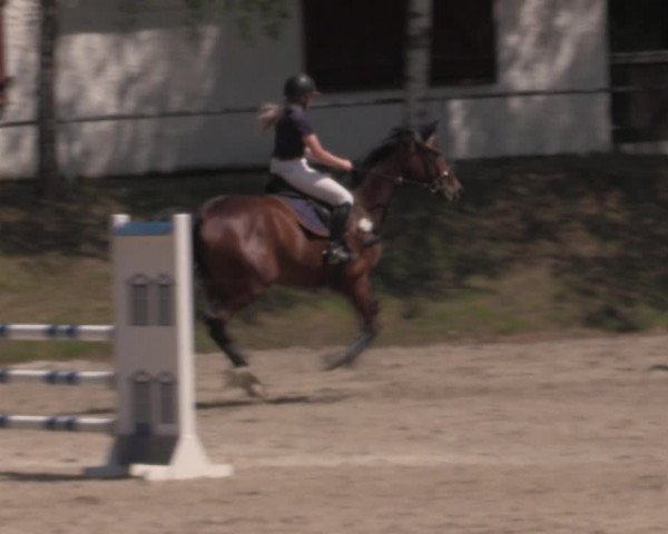 Reitturnier Lgl.-Oberhain, B95 2022