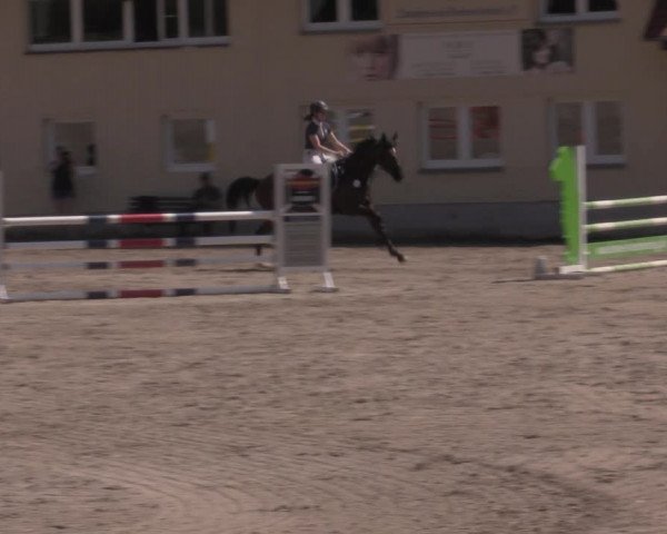 Reitturnier Lgl.-Oberhain, B95 2022