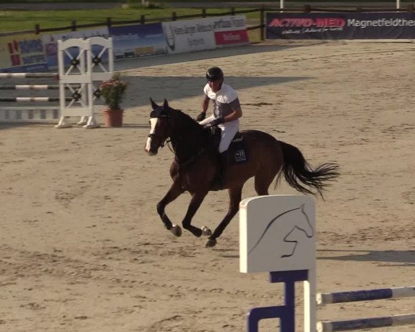 Reitturnier Westergellersen 2022