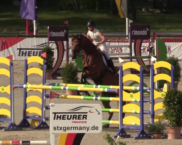 Reitturnier Westergellersen 2022