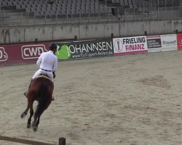 Reitturnier Westergellersen 2022