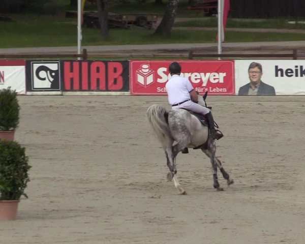 Reitturnier Westergellersen 2022
