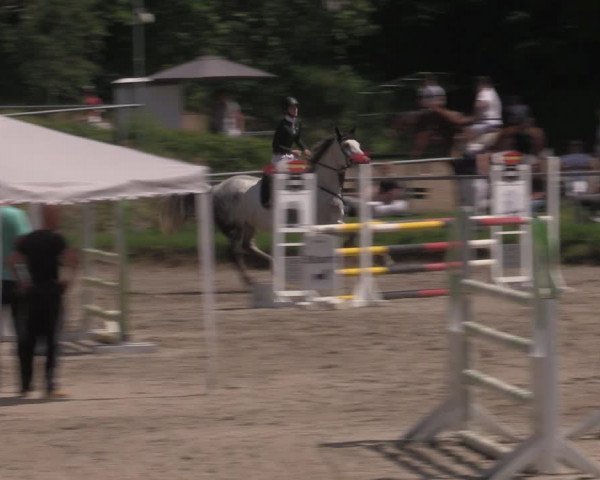 Reitturnier Lgl.-Oberhain, B95 2022