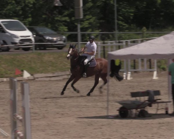 Reitturnier Lgl.-Oberhain, B95 2022