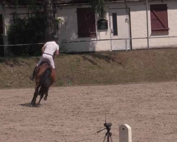 Reitturnier Lgl.-Oberhain, B95 2022