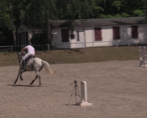 Reitturnier Lgl.-Oberhain, B95 2022