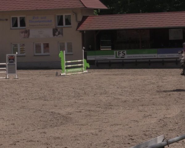Reitturnier Lgl.-Oberhain, B95 2022