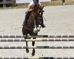 jumper Acolido (unknown, 2011)