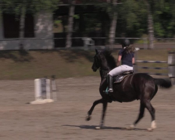 Reitturnier Lgl.-Oberhain, B95 2022