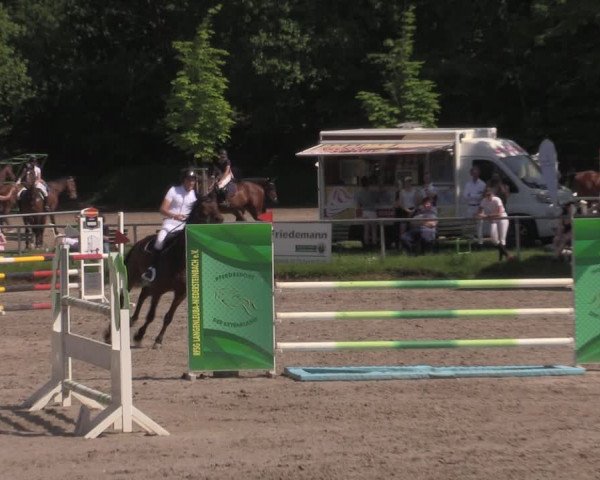 Reitturnier Lgl.-Oberhain, B95 2022