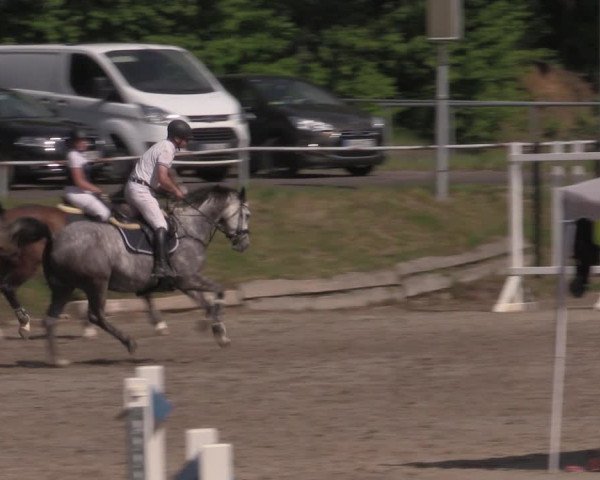 Reitturnier Lgl.-Oberhain, B95 2022