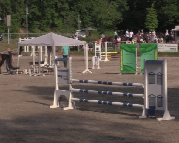 Reitturnier Lgl.-Oberhain, B95 2022