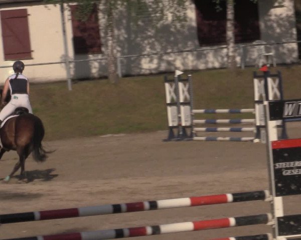 Reitturnier Lgl.-Oberhain, B95 2022