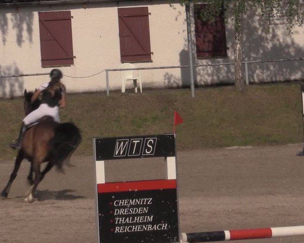 Reitturnier Lgl.-Oberhain, B95 2022