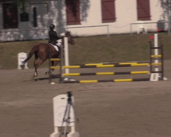 Reitturnier Lgl.-Oberhain, B95 2022