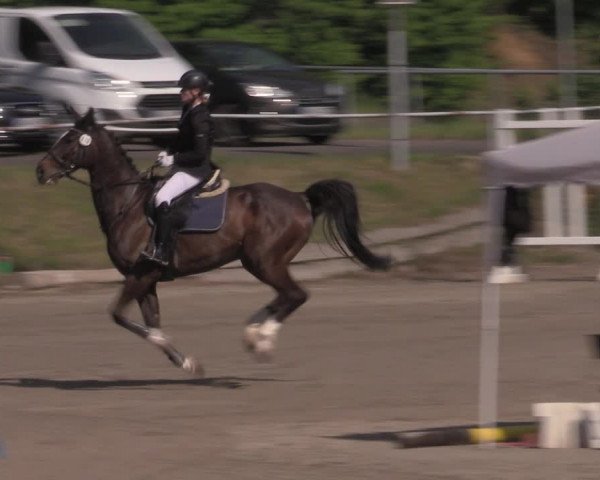 Reitturnier Lgl.-Oberhain, B95 2022