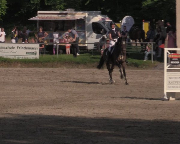Reitturnier Lgl.-Oberhain, B95 2022