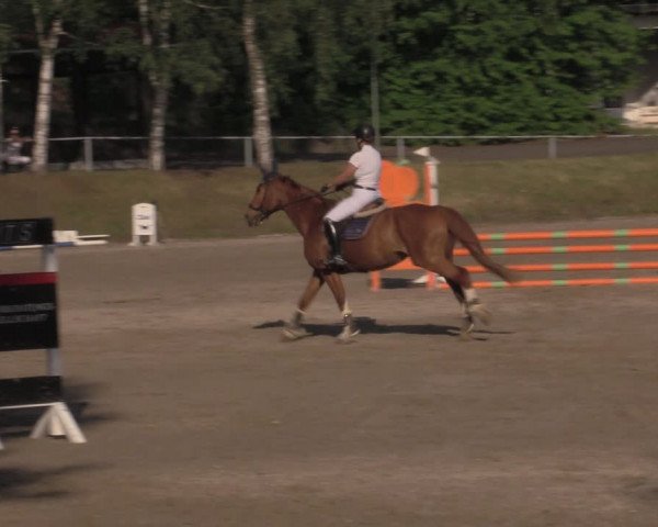 Reitturnier Lgl.-Oberhain, B95 2022