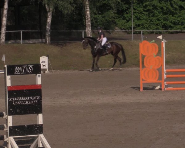 Reitturnier Lgl.-Oberhain, B95 2022