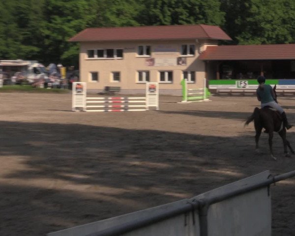 Reitturnier Lgl.-Oberhain, B95 2022