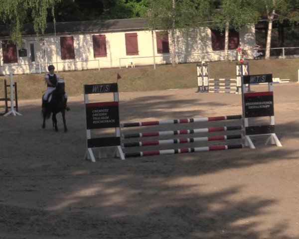 Reitturnier Lgl.-Oberhain, B95 2022