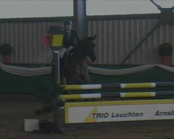 jumper Carlo J (Westphalian, 2008, from Collin L)