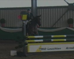 jumper Carlo J (Westphalian, 2008, from Collin L)