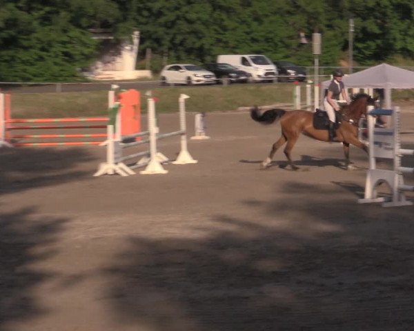 Reitturnier Lgl.-Oberhain, B95 2022