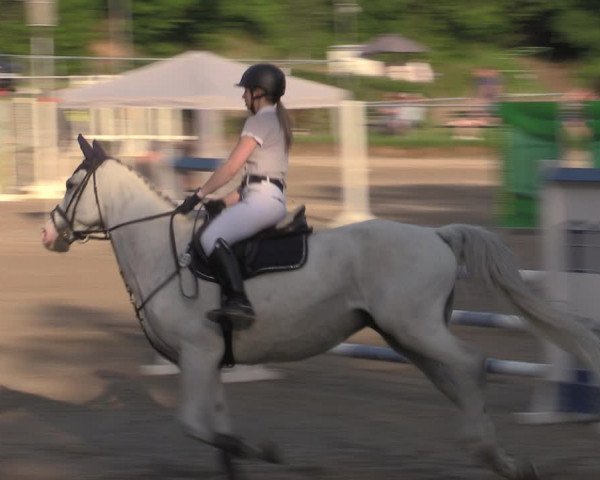Reitturnier Lgl.-Oberhain, B95 2022