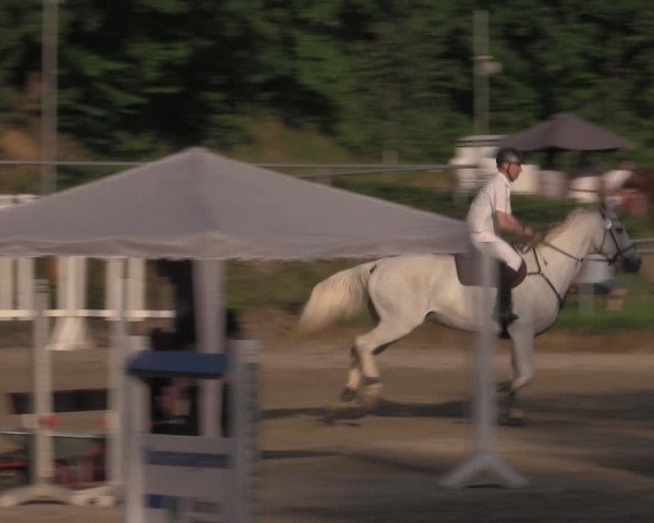 Reitturnier Lgl.-Oberhain, B95 2022