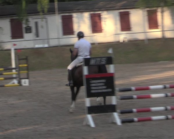 Reitturnier Lgl.-Oberhain, B95 2022