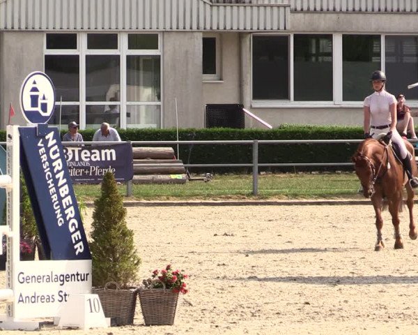 Reitturnier Langenfeld - Gut Langfort 2022