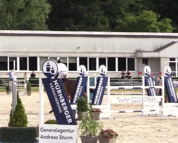 Reitturnier Langenfeld - Gut Langfort 2022