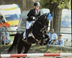 jumper Chakalaka 7 (German Riding Pony, 2010, from Constantin)