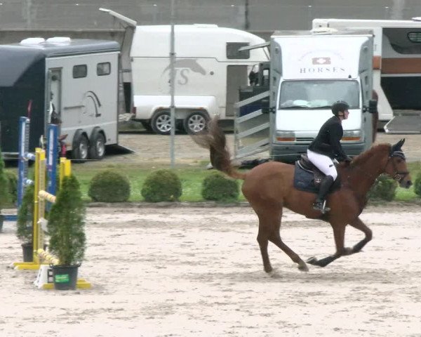 Reitturnier Basel Schänzli 2022
