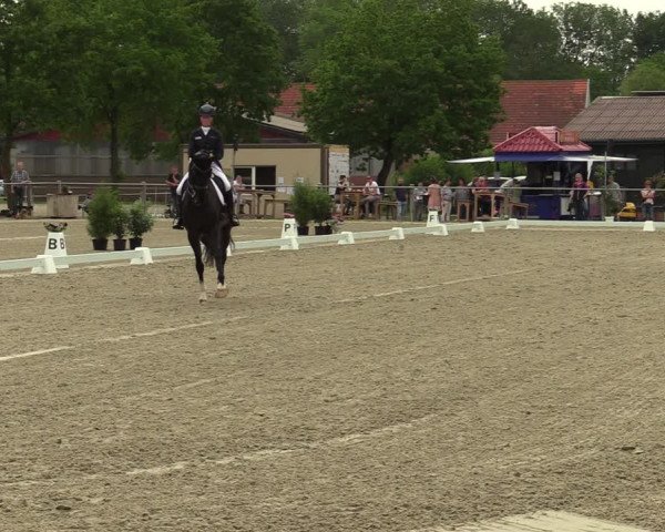 Reitturnier Nienberge-Schonebeck, Reitanlage Geßmann 2022