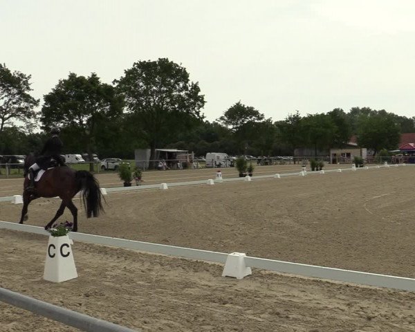 Reitturnier Nienberge-Schonebeck, Reitanlage Geßmann 2022