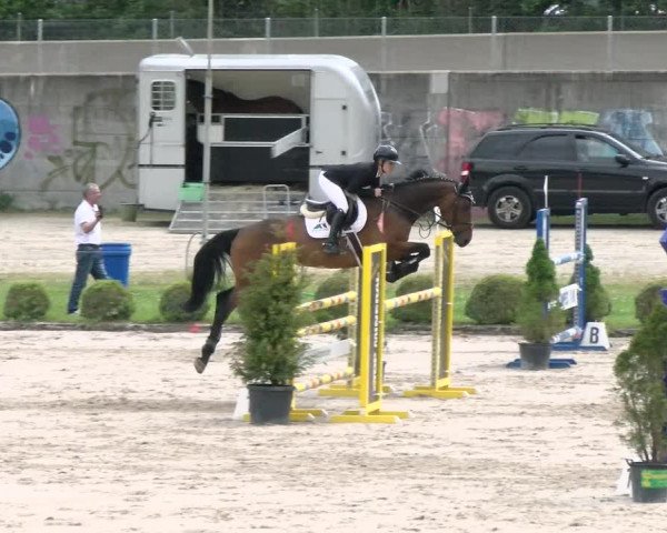 Reitturnier Basel Schänzli 2022