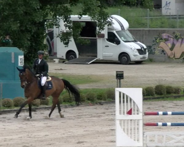 Reitturnier Basel Schänzli 2022