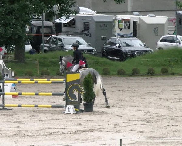 Reitturnier Basel Schänzli 2022