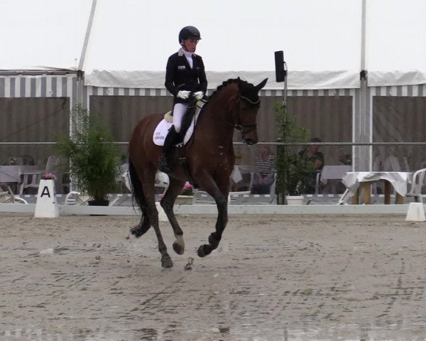 Reitturnier Nienberge-Schonebeck, Reitanlage Geßmann 2022