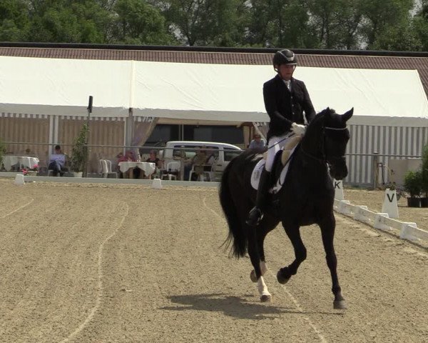 Reitturnier Nienberge-Schonebeck, Reitanlage Geßmann 2022