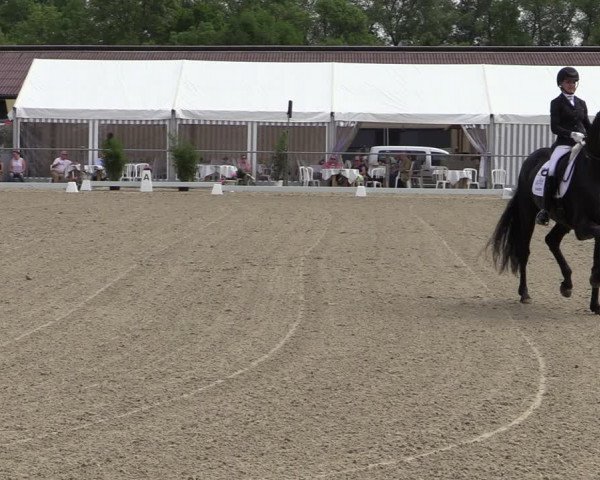 Reitturnier Nienberge-Schonebeck, Reitanlage Geßmann 2022