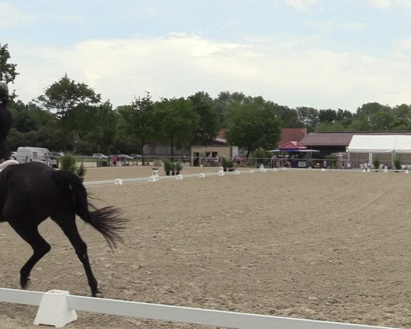 Reitturnier Nienberge-Schonebeck, Reitanlage Geßmann 2022