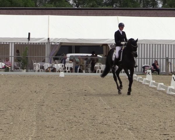 Reitturnier Nienberge-Schonebeck, Reitanlage Geßmann 2022