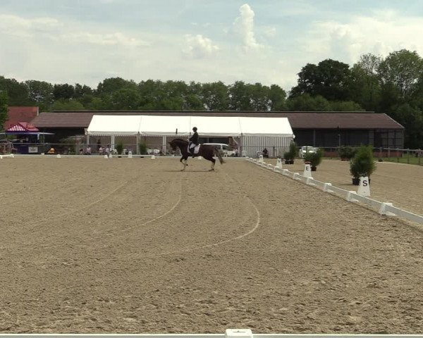 Reitturnier Nienberge-Schonebeck, Reitanlage Geßmann 2022